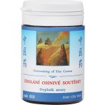TCM Herbs Zdolání ohnivé soutěsky 100 tablet – Hledejceny.cz