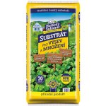 Forestina Hoštický Substrát pro výsev a množení 20 l – Zboží Dáma
