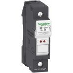 SCHNEIDER ELECTRIC SCHNEIDER Odpínač VARIO DF101V 1P 32A pojistkový DF101V – Hledejceny.cz