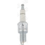 CHAMPION Zapalovací svíčka OE048T10 – Hledejceny.cz