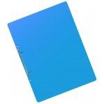 Karton P+P 2 kroužkový pořadač A4 2 cm průhledný modrý – Zboží Mobilmania