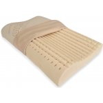 Latexco PŘÍRODNÍ LATEX ANATOMIC 60x40 – Zboží Dáma