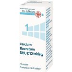 CALCIUM FLUORATUM DHU POR D12 TBL NOB 80 – Hledejceny.cz