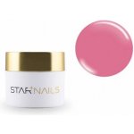 Starnails Acrylic Powder 004 Botanica barevný akrylový prášek 3,5 g – Zboží Dáma