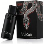 French Avenue Vulcan Black Friday parfém pánský 100 ml – Sleviste.cz