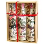 Kitl Syrob Černý rybíz a Malina a Višeň 3 x 0,5 l – Hledejceny.cz