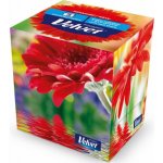Velvet Cube papírové kapesníčky 3-vrstvé 60 ks – Zboží Dáma