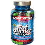 Aminostar Fat Burner Thermogenic 90 kapslí – Hledejceny.cz