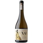 Adegas Terra de Asorei Nai e Señora Colección suché bílé 2018 13% 0,75 l (holá láhev) – Hledejceny.cz