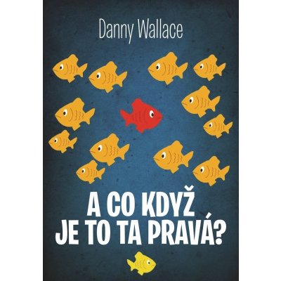 A co když je to ta pravá? Danny Wallace