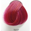 Barva na vlasy La Riché Directions 01 Tulip 89 ml