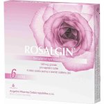 ROSALGIN VAG 500MG VAG GRA SOL 6 – Hledejceny.cz