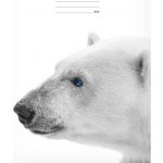 MFP Paper školní sešit A4 444 – Sleviste.cz