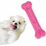 Nylabone Puppy Teething Dental Chew XS – Zboží Mobilmania
