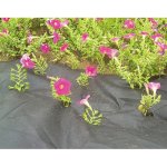 PROTECO 10.89-C-32005 textilie netkaná 50g/m² 3.2 x 5 m – Zboží Dáma