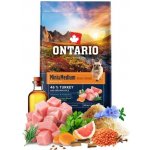 Ontario Mini & Medium Weight Control Turkey & Brown Rice 6,5 kg – Hledejceny.cz