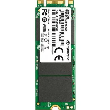 Transcend MTS600 256GB, M.2 SSD SATA, III MLC, TS256GMTS600S