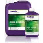 HNOJIVO PLAGRON ALGA BLOOM 100 ML-BIOFLOWER CK – Hledejceny.cz