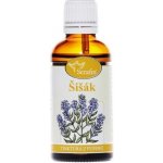 Serafin Šišák tinktura z pupenů 50 ml – Zbozi.Blesk.cz