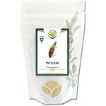 Salvia Paradise Psyllium 100 g – Hledejceny.cz