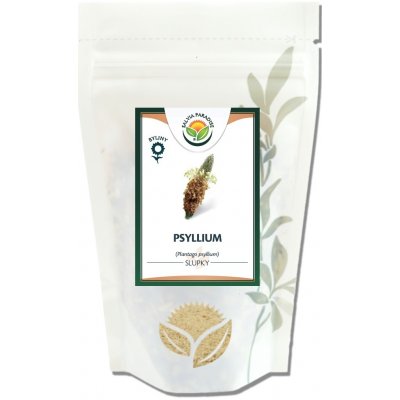 Salvia Paradise Psyllium 100 g – Zboží Mobilmania
