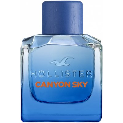 Hollister Canyon Sky toaletní voda pánská 100 ml – Zboží Mobilmania