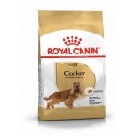 Royal Canin Cocker Adult 3 kg – Hledejceny.cz