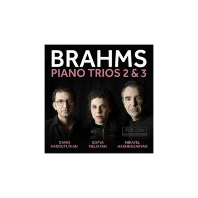 Brahms - Piano Trios 2 & 3 CD – Hledejceny.cz