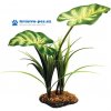 Komodo list Broadleaf Canopy 26 cm