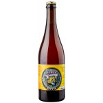 Matuška Raptor IPA 15° 0,75 l (sklo) – Sleviste.cz