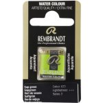 Rembrandt mistrovská akvarelová barva půlpánvička 623 Sap Green – Zboží Dáma