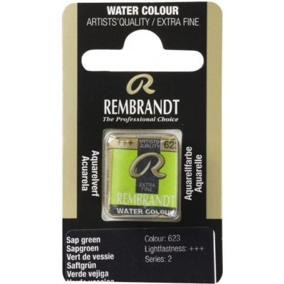 Rembrandt mistrovská akvarelová barva půlpánvička 623 Sap Green – Zboží Dáma