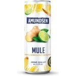 Amundsen Mule RTD 6% 0,25 l (holá láhev) – Sleviste.cz