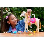 Mattel Barbie Mysteries The Great Horse Hunt Dance and Show Horse – Hledejceny.cz