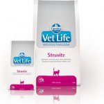Vet Life Cat Struvite 10 kg – Zboží Dáma