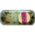 Procyon Botanico glycerínové mýdlo levandule 200 g – Zboží Dáma