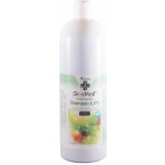 SkinMed chlorhexidin shampoo 0,5% 1 l – Hledejceny.cz