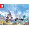 Hra na Nintendo Switch Trinity Trigger (D1 Edition)
