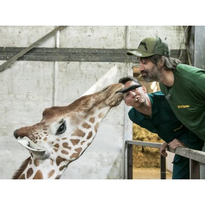 Ošetřovatelem v ZOO – Hledejceny.cz