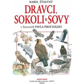 Dravci, sokoli a sovy