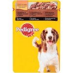 Pedigree hovězí a jehněčí 100 g – Hledejceny.cz