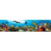 Tapety Dimex KI260-092 Samolepící fototapeta do kuchyně Fish rozměry 260 x 60 cm