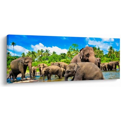 Obraz - Sloni, Sri Lanka, jednodílný 145x58 cm – Hledejceny.cz