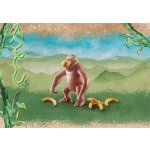 Playmobil 71057 Orangutan – Sleviste.cz
