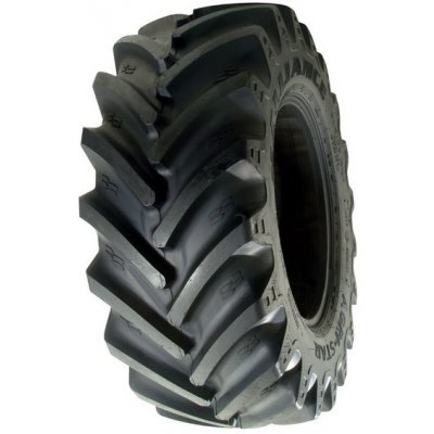 Alliance 365 Agristar 650/65-38 166A8/163D TL – Hledejceny.cz