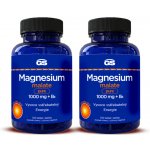 GS Magnesium Malate Pure 1000 mg + B6 2 x 100 tablet – Hledejceny.cz