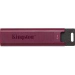 Kingston DataTraveler Max 1TB DTMAXA/1TB – Zboží Mobilmania