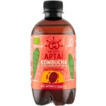 Captain Kombucha Kombucha bio broskev 400 ml – Hledejceny.cz