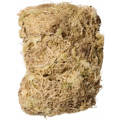 Gerd Adolph Plantbee Rašeliník z Chile 100 g – Zboží Mobilmania