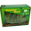  Lucky Reptile Vivarium Moss 150 g